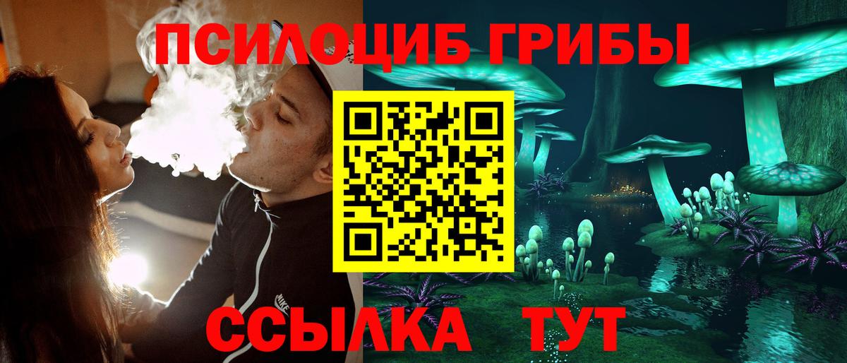 Галлюциногенные грибы Cubensis Усолье-Сибирское